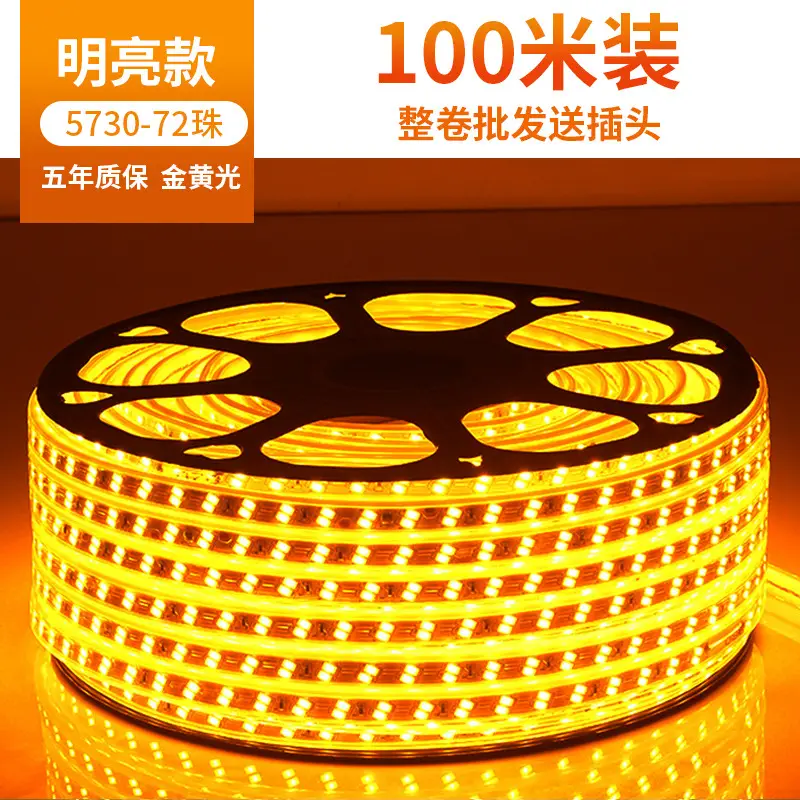 Living room 5730 highlight Double Row high voltage led strip wholesale indoor outdoor 2835 three color light waterproof led strip