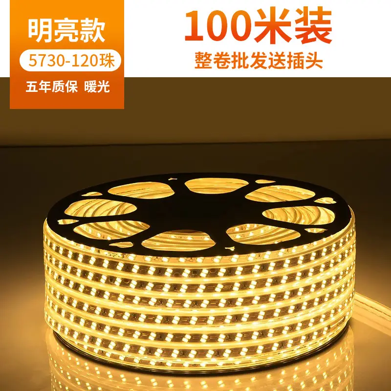 Living room 5730 highlight Double Row high voltage led strip wholesale indoor outdoor 2835 three color light waterproof led strip