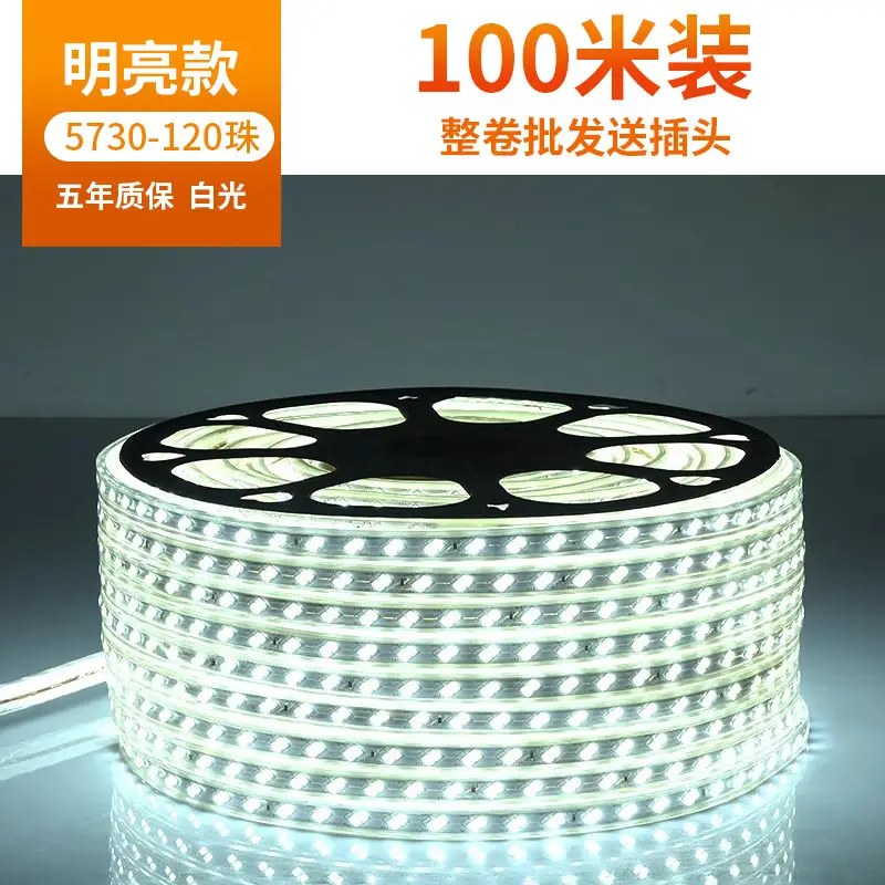 Living room 5730 highlight Double Row high voltage led strip wholesale indoor outdoor 2835 three color light waterproof led strip