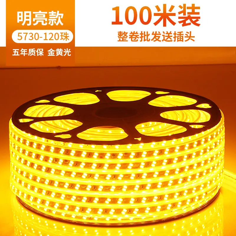 Living room 5730 highlight Double Row high voltage led strip wholesale indoor outdoor 2835 three color light waterproof led strip