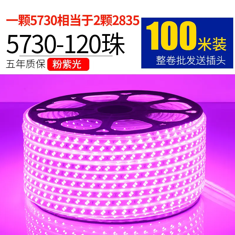 Living room 5730 highlight Double Row high voltage led strip wholesale indoor outdoor 2835 three color light waterproof led strip