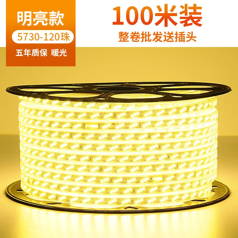 Living room 5730 highlight Double Row high voltage led strip wholesale indoor outdoor 2835 three color light waterproof led strip