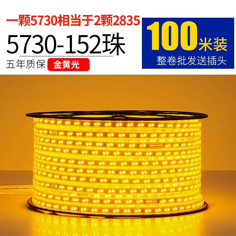 Living room 5730 highlight Double Row high voltage led strip wholesale indoor outdoor 2835 three color light waterproof led strip