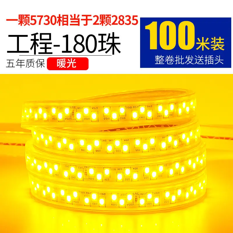 Living room 5730 highlight Double Row high voltage led strip wholesale indoor outdoor 2835 three color light waterproof led strip
