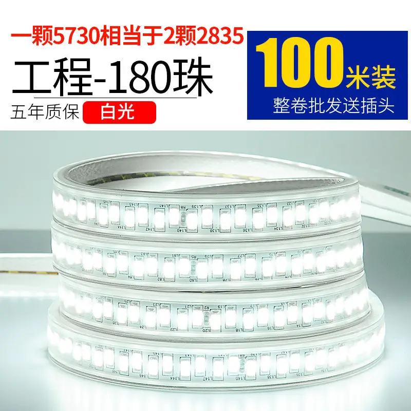 Living room 5730 highlight Double Row high voltage led strip wholesale indoor outdoor 2835 three color light waterproof led strip