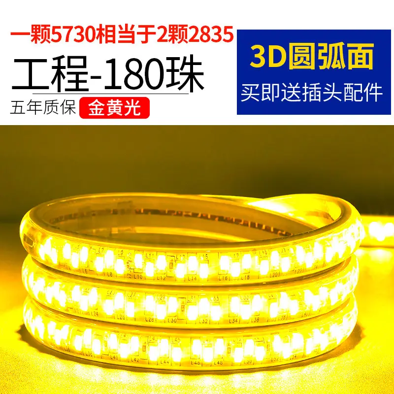 Living room 5730 highlight Double Row high voltage led strip wholesale indoor outdoor 2835 three color light waterproof led strip