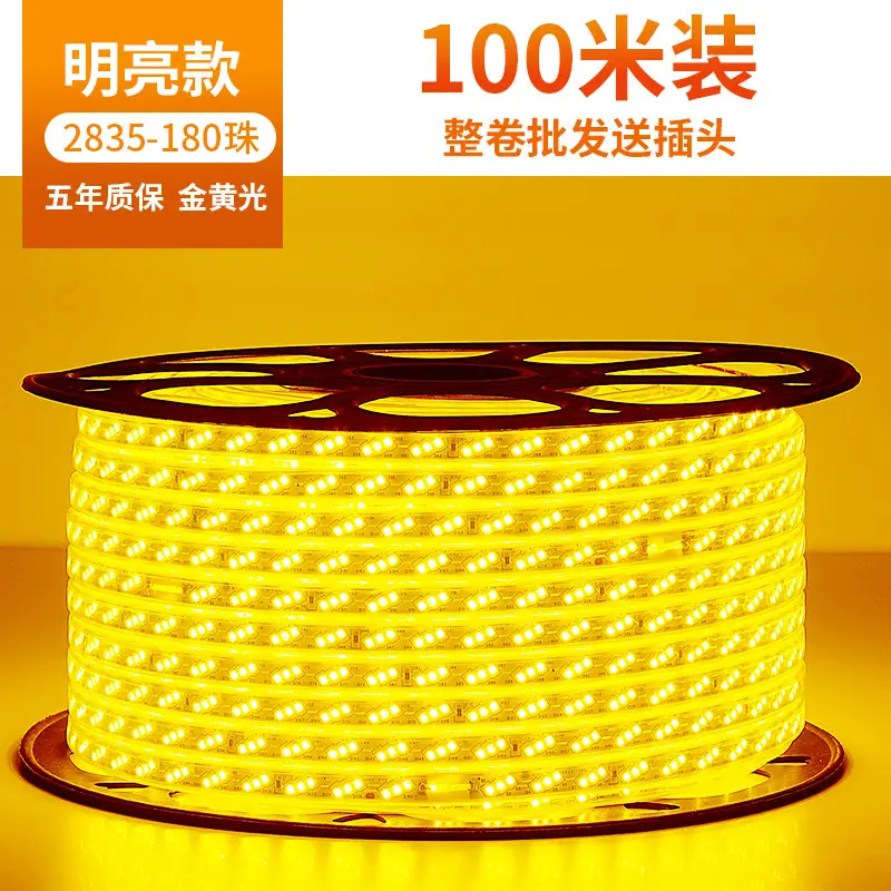 Living room 5730 highlight Double Row high voltage led strip wholesale indoor outdoor 2835 three color light waterproof led strip