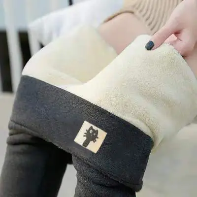 Kitten dark gray