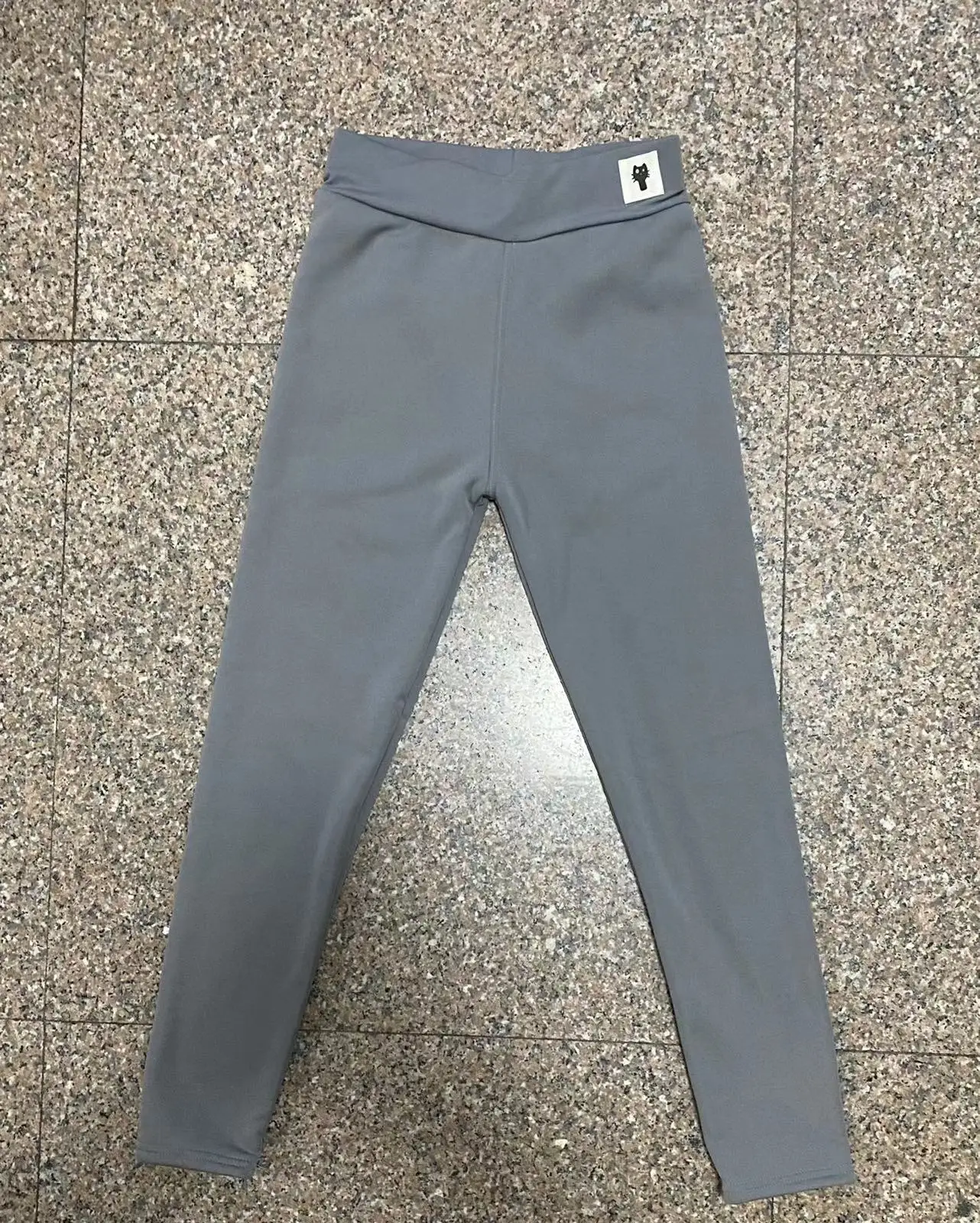 Kitten light gray