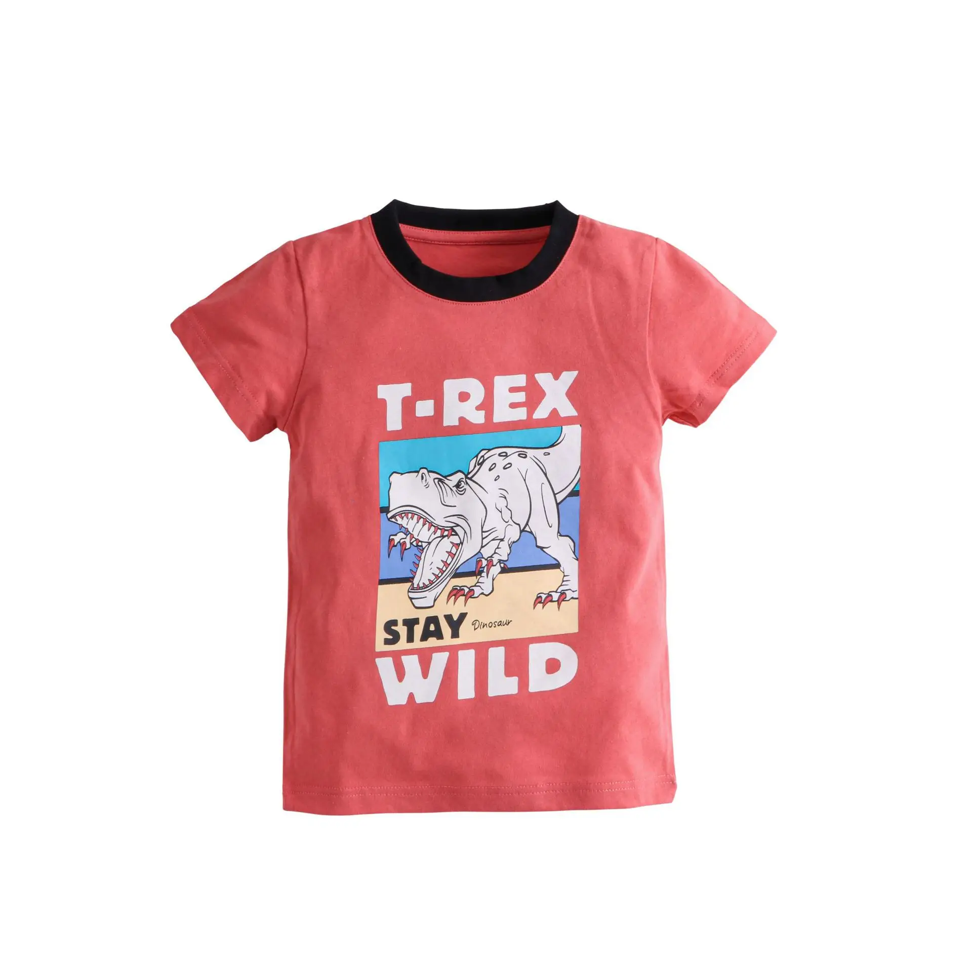 2025 Kids T-Shirt Korean Style Cartoon Dinosaur White - Image 2