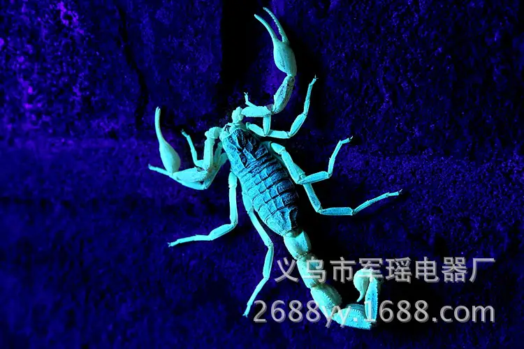 100 Led UV Flashlight Purple Smoke Detection Lamp — feature 43