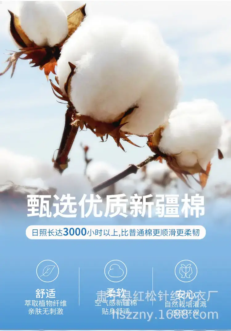 未标题-1_11.jpg