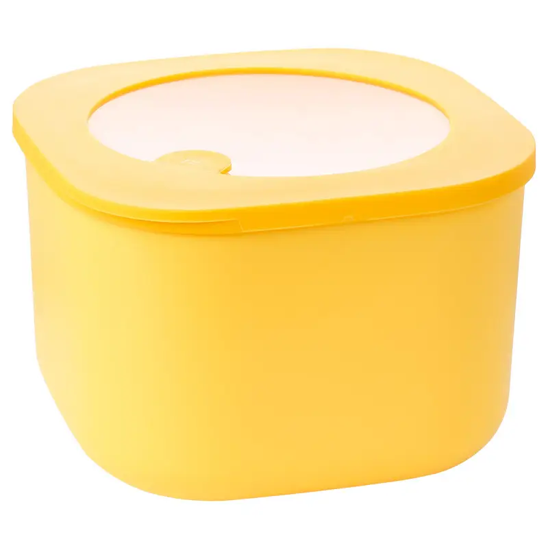 Colorful Bento Lunch Box Set for Office Workers