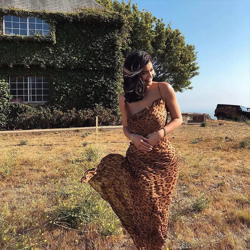2026 Leopard Print Long Sleeve Dress for Women - Image 4