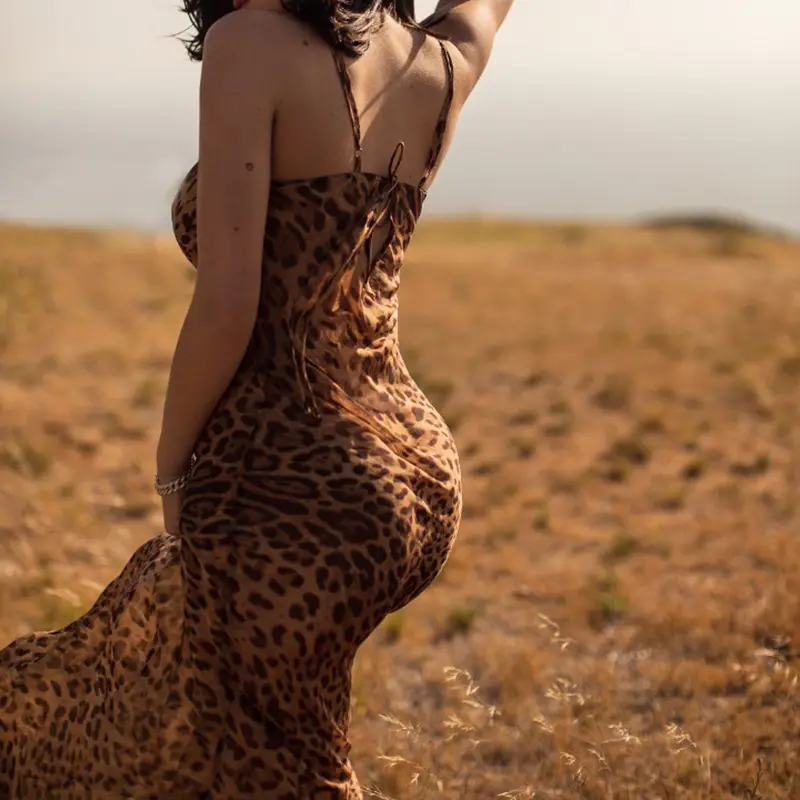 2026 Leopard Print Long Sleeve Dress for Women — feature 4