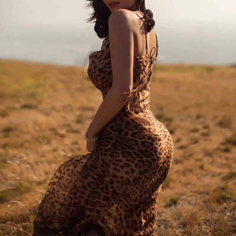 2026 Leopard Print Long Sleeve Dress for Women — feature 5