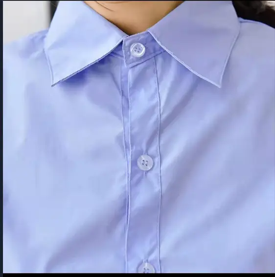 Professional Blue Long-Sleeve Shirt for Women Slim Fit Business Wear - Image 3