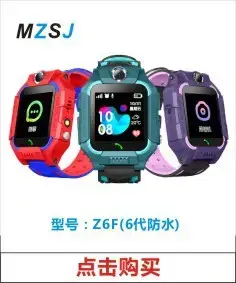 Z6F