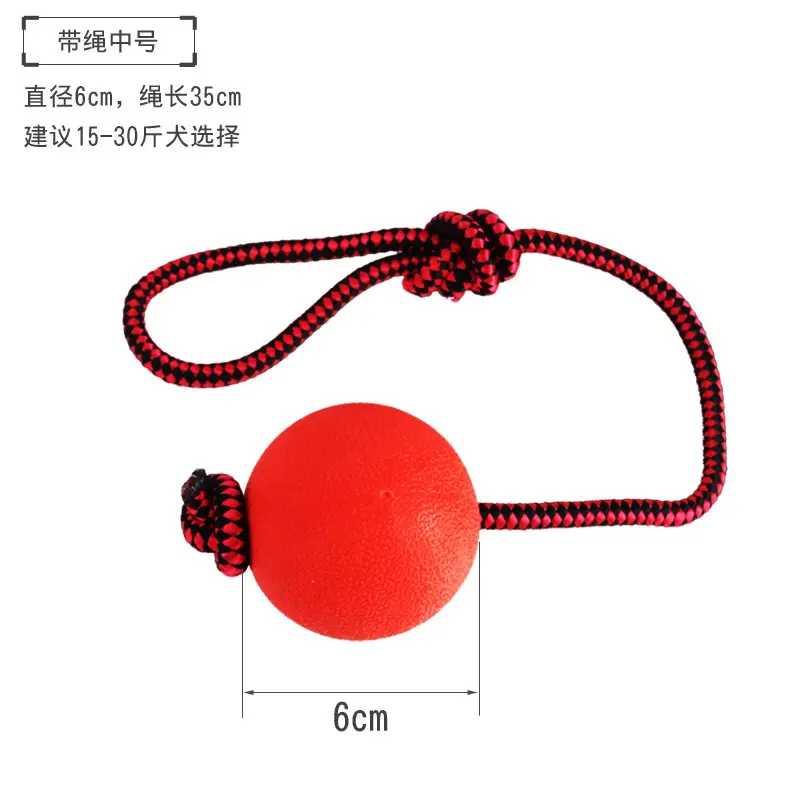 Pet Dog Toys and Supplies Frisbee Pet Ball Puppy Toy Bite-Resistant Rope Knot Self-Pleasure Carrot Teething Toy