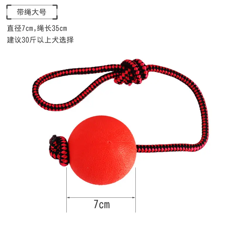 Pet Dog Toys and Supplies Frisbee Pet Ball Puppy Toy Bite-Resistant Rope Knot Self-Pleasure Carrot Teething Toy
