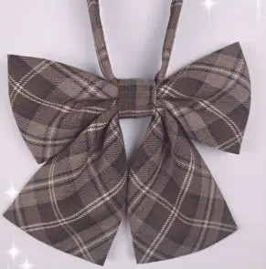 Chocolate Brown Pleated Skirt 8 Boxes College Wholesale - Image 2