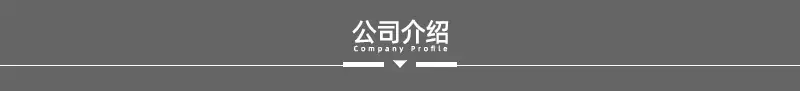 公司介绍