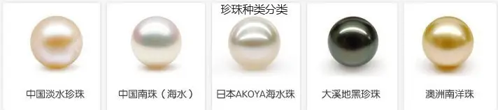 Freshwater Pearl White 7-8 Round Strong Light — feature 14