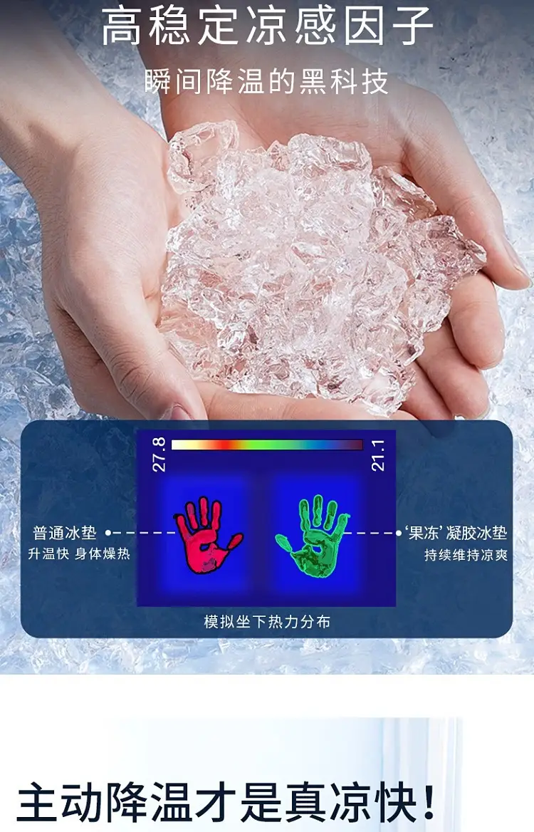 Summer Cooling Pet Dog Pad Transparent Ice Gel — feature 5