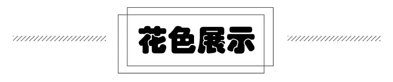 更多选择