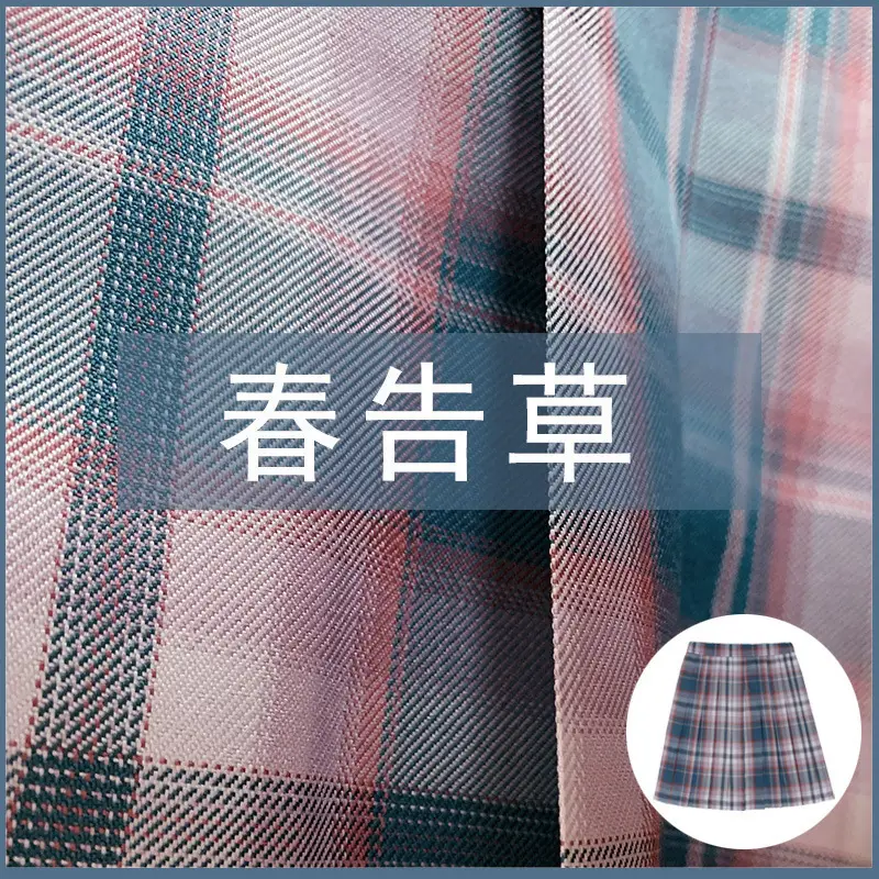 Japanese Plaid Skirt Set for Girls Spring Summer Embroidered - Image 27