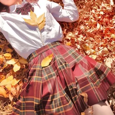 Japanese Plaid Skirt Set for Girls Spring Summer Embroidered - Image 50