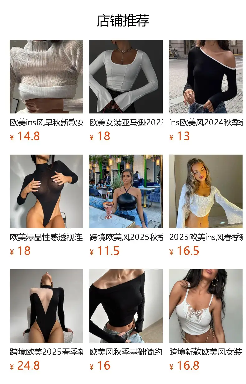 Women's Long Sleeve Mesh See Through T-Shirt White High Collar — feature 1