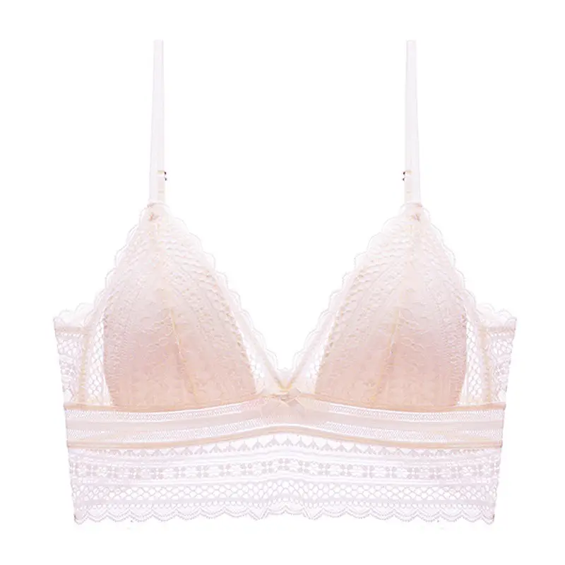 Breathable Lace U-Shaped Backless Bra for Women, Ultra-Thin, Wire-Free Triangle Cup Bra, French Style Lingerie