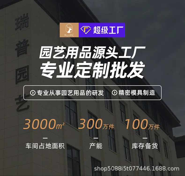 详情_01.jpg