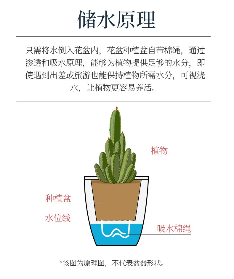 Self-Watering No-Watering Storage Flower Pot Lazy Watering Green Radish Resin Plastic Succulent Pot Self-Absorbing Water — feature 8