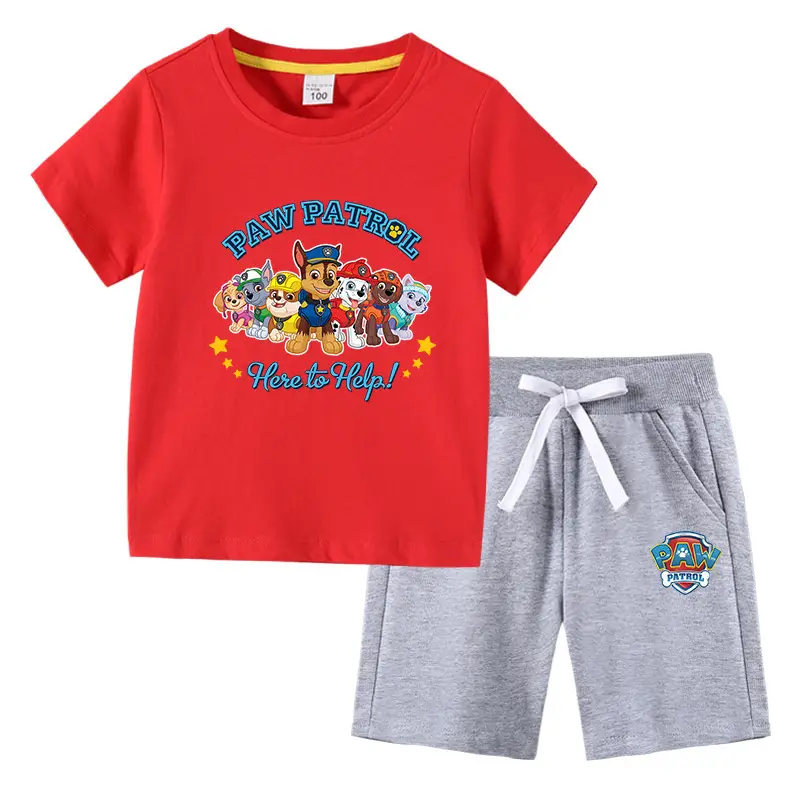 2023 Kids Paw Patrol T-Shirt & Shorts Set Blue Gray - Image 5