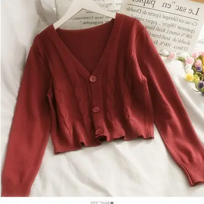 2022 Hemp V-Neck Clavicle Top Long Sleeve Female - Image 4