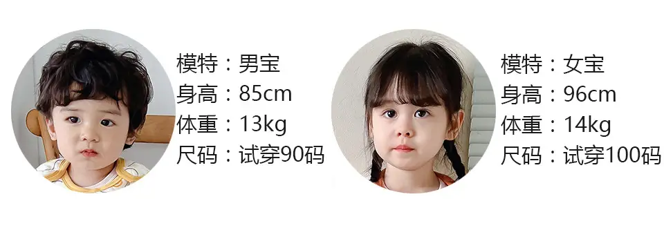 模特