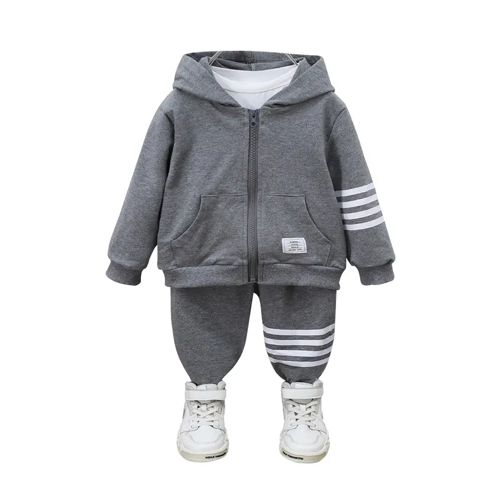 Boys Grey Hoodie Track Suit 2-Piece Spring Autumn Set