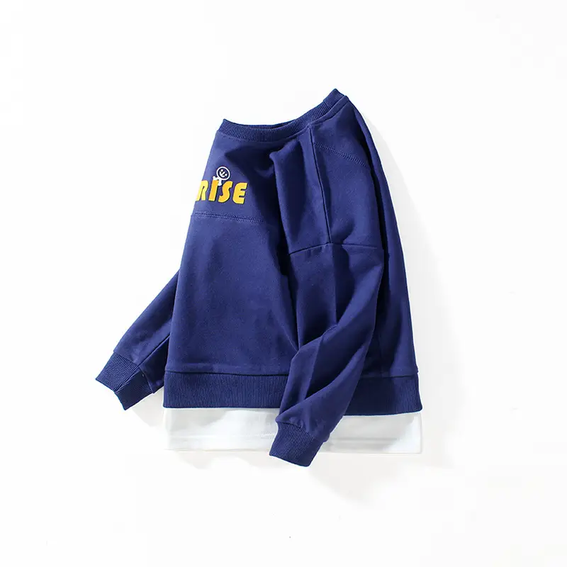 Blue Printed Sweatshirt for Boys Medium to Large