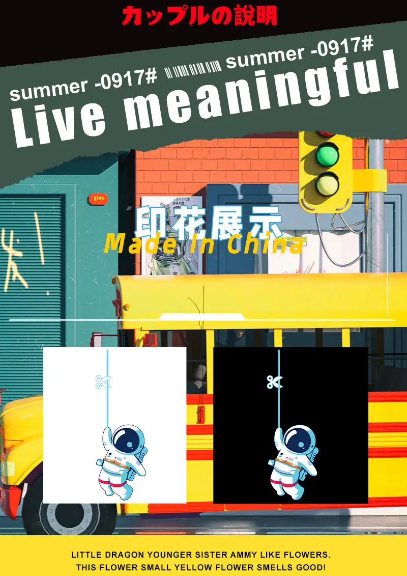 2388NASA拉线圆卫