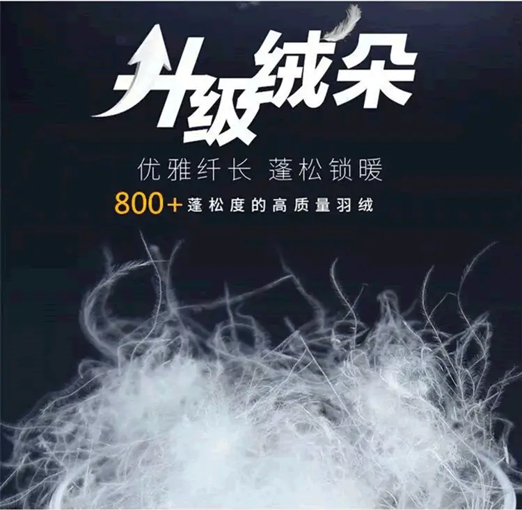 6羽绒1.jpg