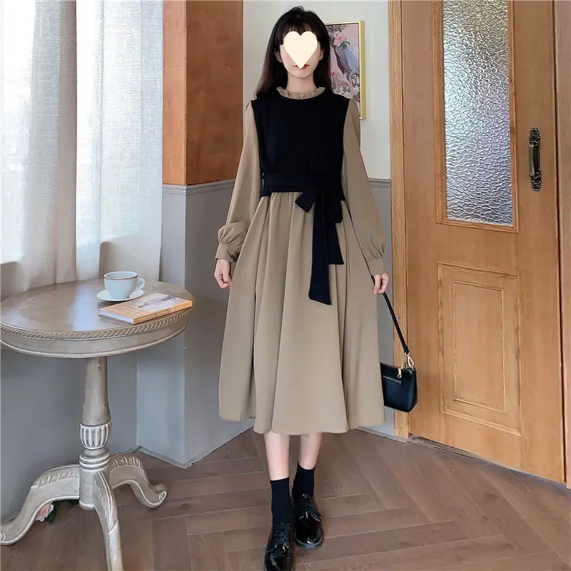 2026 Winter Fake Two-Piece Skirt Dress Women — feature 14