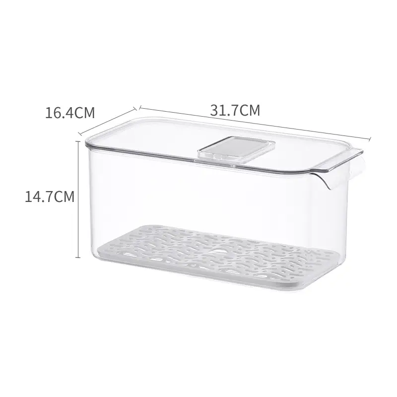 Transparent Refrigerator Storage Box with Lid for Vegetables Fruits - Image 2