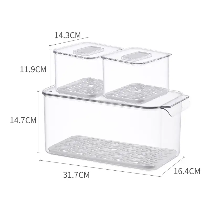 Transparent Refrigerator Storage Box with Lid for Vegetables Fruits - Image 3
