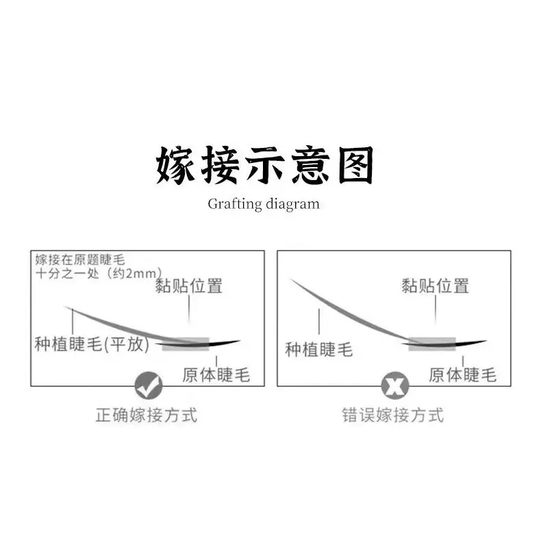 Lash Grafting Eye Lens for Quick Growth - Image 4