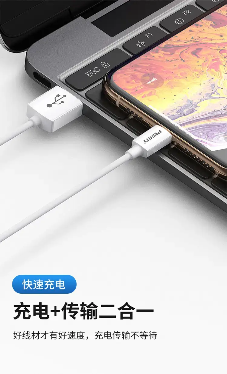 Pisen Fast Charging USB-C to iPhone 7+ 2A Charger Set — feature 11