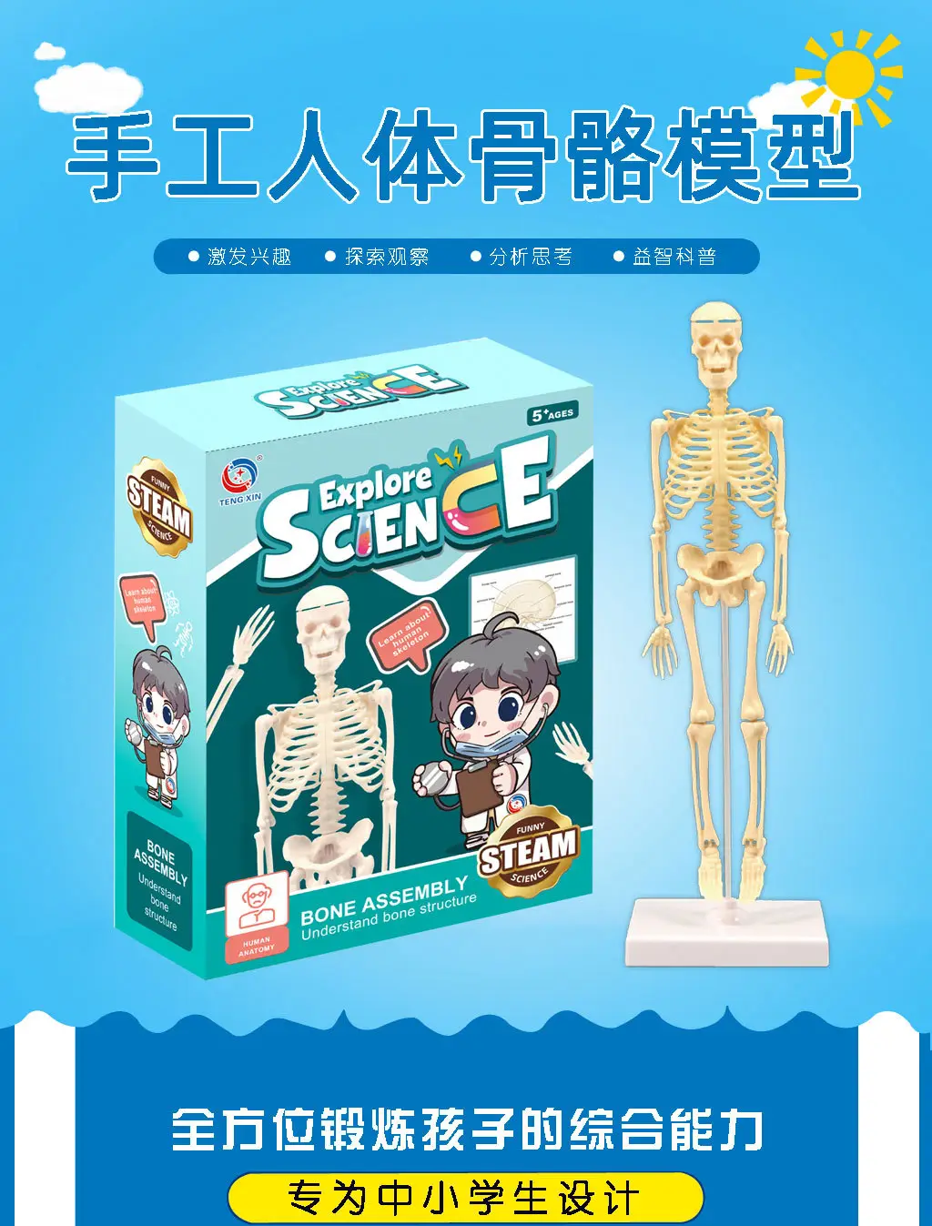 Mini Full-Body Human Skeleton Model for Kids Education — feature 2