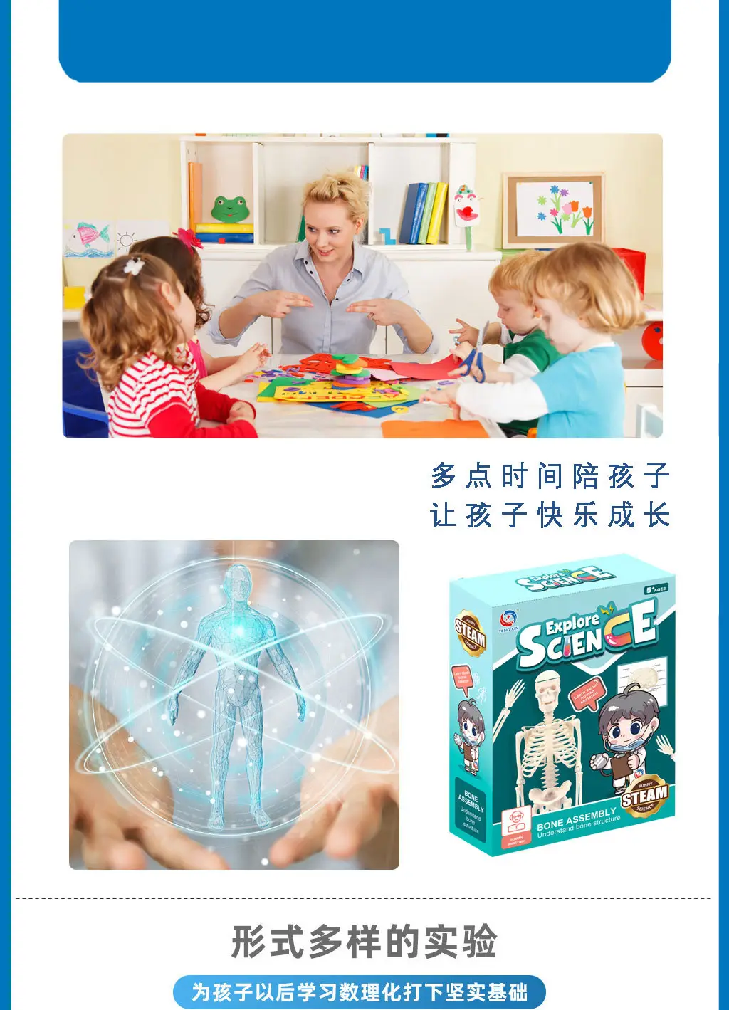 Mini Full-Body Human Skeleton Model for Kids Education — feature 3