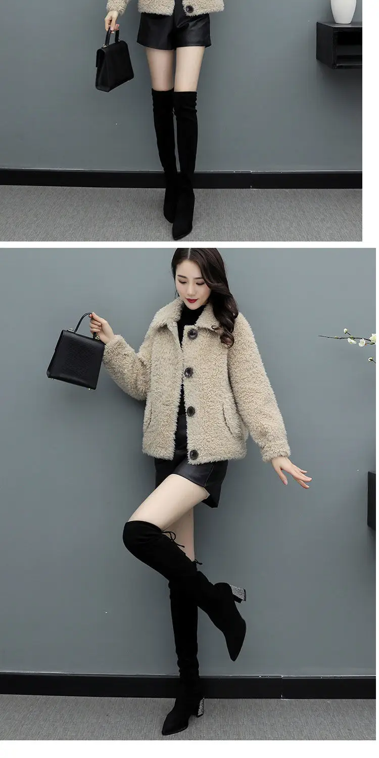 Lamb Wool Coat Women Red 2025 Short Sweatshirt — feature 13